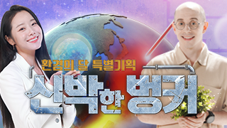 신박한 벙커