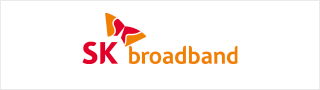 SK broadband